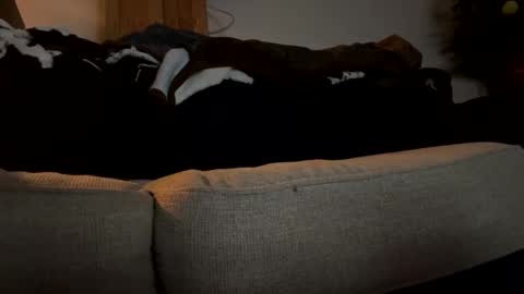 kaptainsmok36 online show from January 17, 2025, 7:08 am