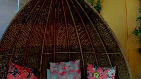 Karen online show from January 28, 2025, 8:36 pm