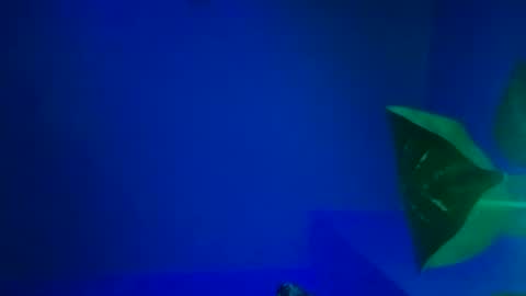 Karla Gonzaless online show from November 9, 2025, 6:44 am