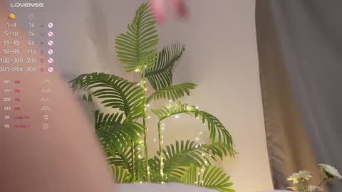 Snapshot of karollovea chatting on January 8, 2025, 7:45 am Karol 22 y.o online show from January 8, 2025, 7:45 am