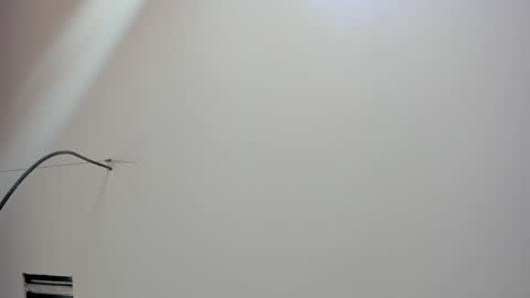 Kate  online show from February 18, 2026, 12:01 pm