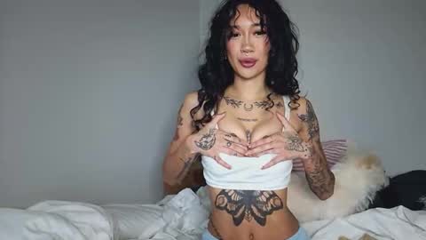 katiecai online show from April 9, 2026, 8:14 pm