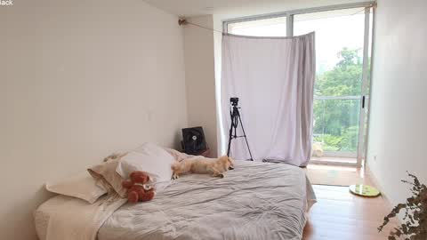 kendall online show from March 10, 2026, 4:01 pm