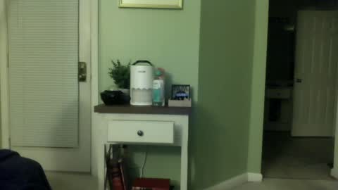 Steve online show from December 28, 2024, 11:52 am