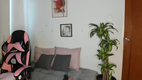  01  online show from November 23, 2025, 1:22 pm