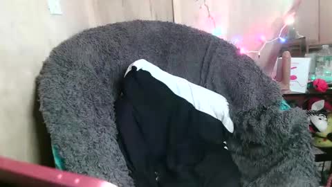 Kennedy Nova  online show from January 26, 2025, 10:24 pm