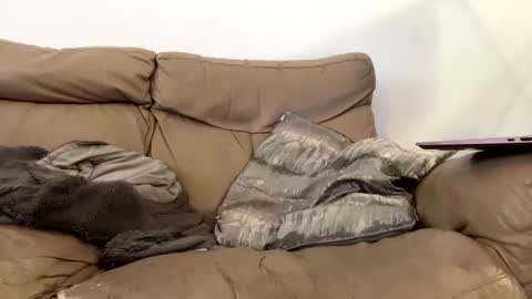 Snapshot of kevfromchat chatting on January 8, 2025, 1:31 pm kevfromchat online show from January 8, 2025, 1:31 pm