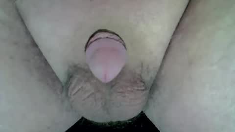 maggot online show from April 5, 2026, 11:02 pm