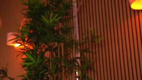 KhloeDaviss online show from May 23, 2026, 5:23 am
