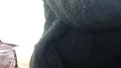 khushisinghh online show from December 14, 2024, 2:34 am