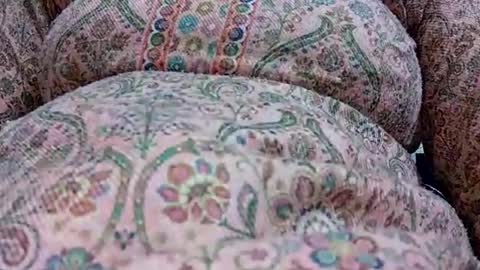 khushisinghh online show from January 24, 2025, 12:31 pm