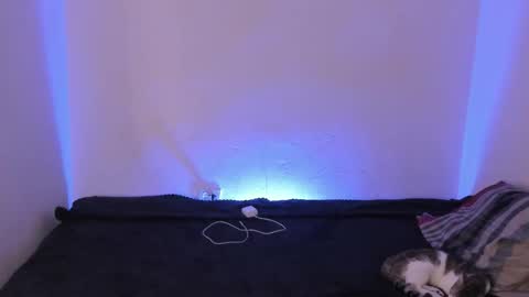 Kim online show from December 16, 2025, 9:47 am