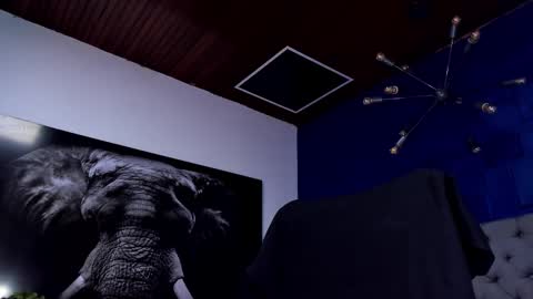 Snapshot of king_falconer chatting on January 18, 2026, 4:05 am Angel Falconer online show from January 18, 2026, 4:05 am