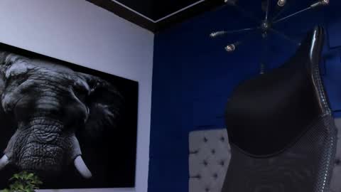 Snapshot of king_falconer chatting on February 1, 2026, 1:59 am Angel Falconer online show from February 1, 2026, 1:59 am