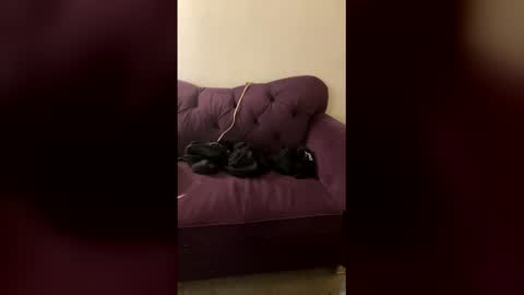 kingecstasyxxxddd online show from March 8, 2026, 8:29 am