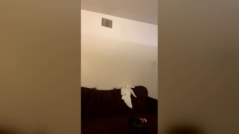 kingecstasyxxxddd online show from March 16, 2026, 3:56 am