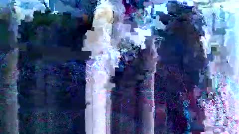 Snapshot of kinkygurl6969ts chatting on February 17, 2025, 7:42 pm KinkySlut4Fun online show from February 17, 2025, 7:42 pm