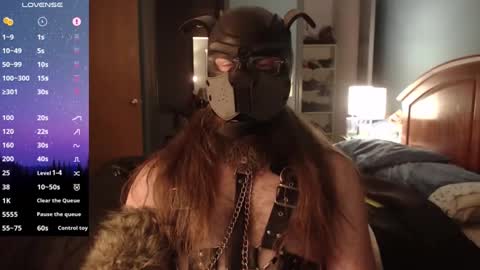 kinkywolf87 online show from December 3, 2024, 7:21 am