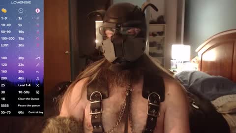 kinkywolf87 online show from December 5, 2024, 7:05 am