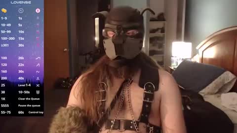 kinkywolf87 online show from December 26, 2024, 6:54 pm