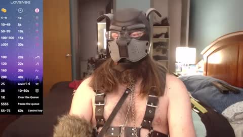 kinkywolf87 online show from January 13, 2025, 7:42 pm