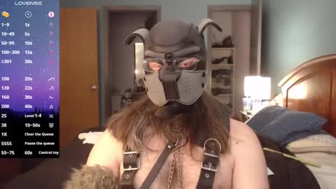 kinkywolf87 online show from February 3, 2025, 6:39 pm