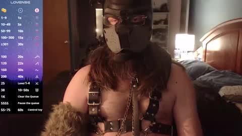 kinkywolf87 online show from February 6, 2025, 6:18 am