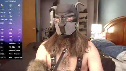 kinkywolf87 online show from February 23, 2025, 7:38 pm
