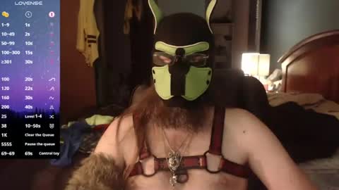 kinkywolf87 online show from June 11, 2026, 11:58 pm