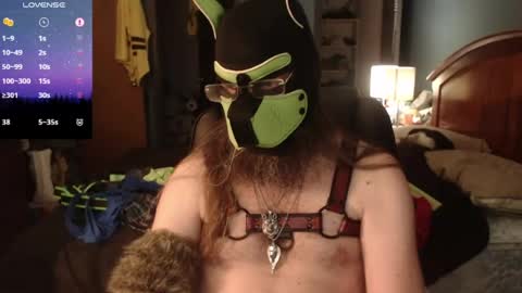 kinkywolf87 online show from June 14, 2026, 10:23 pm