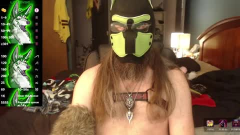 Snapshot of kinkywolf87 chatting on June 29, 2026, 7:14 pm kinkywolf87 online show from June 29, 2026, 7:14 pm
