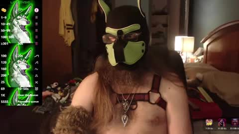 Snapshot of kinkywolf87 chatting on July 2, 2026, 12:10 am kinkywolf87 online show from July 2, 2026, 12:10 am