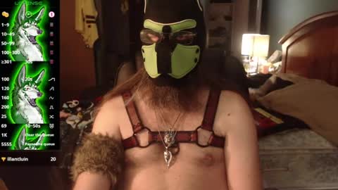 Snapshot of kinkywolf87 chatting on July 3, 2026, 12:06 am kinkywolf87 online show from July 3, 2026, 12:06 am