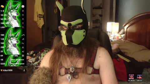 Snapshot of kinkywolf87 chatting on July 3, 2026, 4:46 pm kinkywolf87 online show from July 3, 2026, 4:46 pm