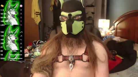 Snapshot of kinkywolf87 chatting on July 5, 2026, 9:44 pm kinkywolf87 online show from July 5, 2026, 9:44 pm
