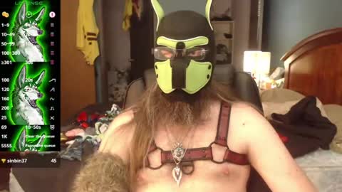 Snapshot of kinkywolf87 chatting on July 8, 2026, 7:29 pm kinkywolf87 online show from July 8, 2026, 7:29 pm