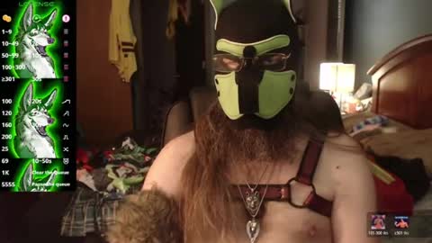 Snapshot of kinkywolf87 chatting on July 10, 2026, 3:47 pm kinkywolf87 online show from July 10, 2026, 3:47 pm