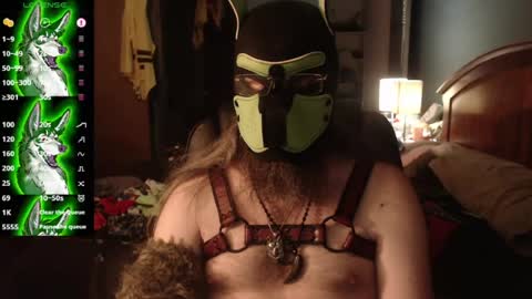 Snapshot of kinkywolf87 chatting on July 18, 2026, 3:00 am kinkywolf87 online show from July 18, 2026, 3:00 am
