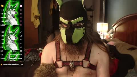 Snapshot of kinkywolf87 chatting on July 20, 2026, 3:47 pm kinkywolf87 online show from July 20, 2026, 3:47 pm