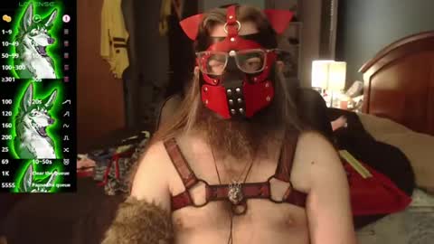 Snapshot of kinkywolf87 chatting on July 22, 2026, 4:54 pm kinkywolf87 online show from July 22, 2026, 4:54 pm