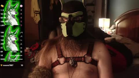 Snapshot of kinkywolf87 chatting on July 24, 2026, 4:43 am kinkywolf87 online show from July 24, 2026, 4:43 am