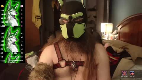 Snapshot of kinkywolf87 chatting on July 27, 2026, 5:09 pm kinkywolf87 online show from July 27, 2026, 5:09 pm