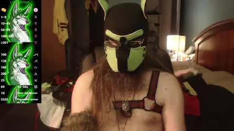 Snapshot of kinkywolf87 chatting on July 29, 2026, 4:05 pm kinkywolf87 online show from July 29, 2026, 4:05 pm