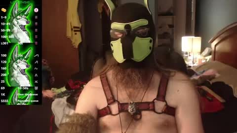 Snapshot of kinkywolf87 chatting on July 30, 2026, 11:15 pm kinkywolf87 online show from July 30, 2026, 11:15 pm