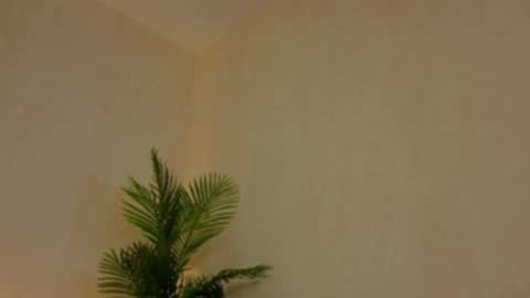 Snapshot of kirabesser chatting on February 27, 2026, 10:15 am kirabesser online show from February 27, 2026, 10:15 am