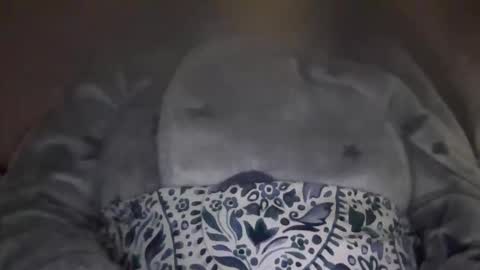 kissandtell1357 online show from October 24, 2025, 6:48 pm