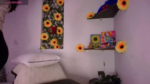 Helena and Brad online show from February 19, 2026, 3:02 am