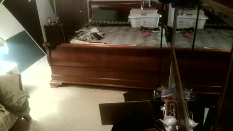 KittenKatch online show from February 8, 2026, 5:11 am