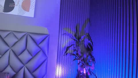   online show from November 12, 2025, 9:14 pm