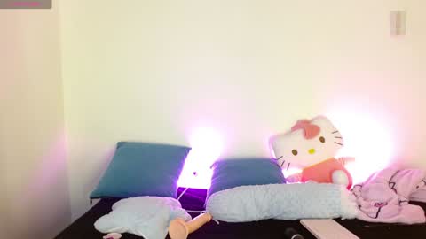 Snapshot of kittycatw chatting on January 2, 2025, 11:31 am LAURA help me reach 100likes online show from January 2, 2025, 11:31 am